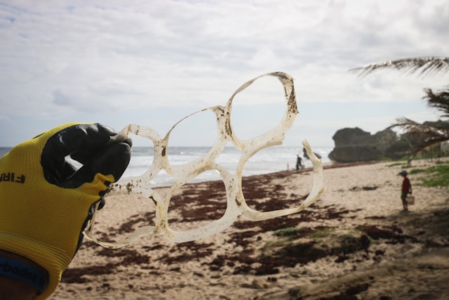 Voluntariado de limpieza de playas